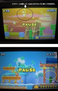 3dsのnewスーパーマリオブラザーズ2で フラワーコースの1の隠 Yahoo 知恵袋