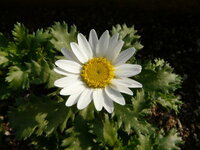 スピリチュアル 最近 懐かしい人によく会う スピリチュアル系に詳し Yahoo 知恵袋