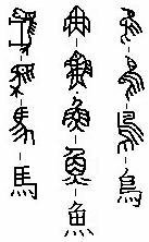 馬 鳥 魚 の漢字の下の点はなぜ4つあるのですか 小学1年生の子供 Yahoo 知恵袋