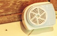 蚊取り線香で蚊は死ぬのでしょうか 確かに蚊の気配は無くなりますが 死ん Yahoo 知恵袋
