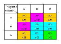 中学生にわかるようにａｂｏの血液型遺伝規則を表にして教えてください 中学 Yahoo 知恵袋