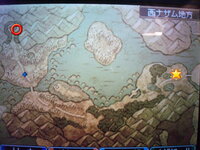 ドラクエ9の質問です 魔獣の洞窟は地図上ではどの辺りになりますか Yahoo 知恵袋