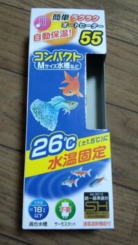 ベタの飼育には 水温何度くらいがベターですか お先の方 Yahoo 知恵袋