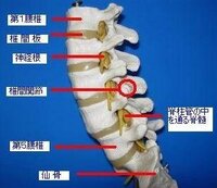 一昨日から 右胸がちくちくというか 中から痛みがあります 内側の下よ Yahoo 知恵袋