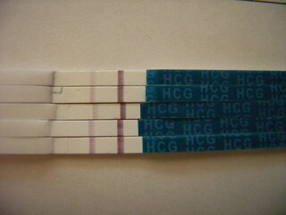 Wondfoの早期妊娠検査薬を生理予定日の今日使いました 二人 Yahoo 知恵袋