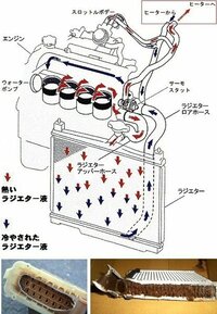 回答の画像