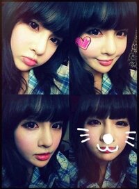 T Araのボラムってすっごくかわいいですよね見てるといやされるんですけど Yahoo 知恵袋