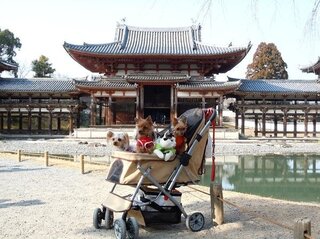 関西で冬に犬とおでかけできる所を教えてください 休日に犬連れ Yahoo 知恵袋