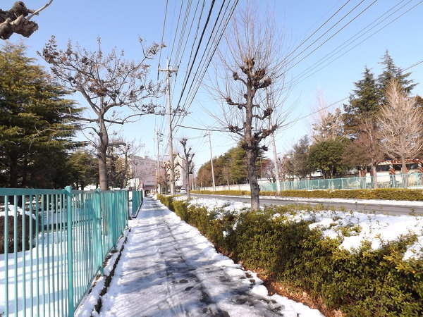 公道の雪かきについて、ご意見をお願い致します。 - 教えて！ 住まいの 