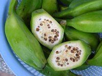 バナナは青くても食べられますか 青いバナナは生のままでも調理 Yahoo 知恵袋