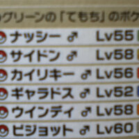 ハートゴールドハートゴールドのひでんわざロッククライムはどこでてに入れれる Yahoo 知恵袋