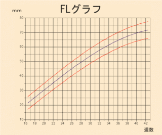 70以上 35週 胎児 体重 平均