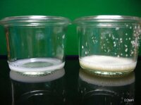 初乳なのに半透明な母乳 栄養ありますか 初乳とは黄色っぽくどろ Yahoo 知恵袋