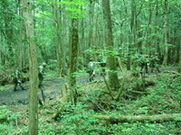 陸上自衛隊はコンパスと地図だけで樹海を抜けるという訓練をする Yahoo 知恵袋