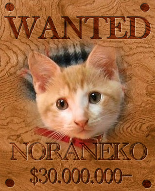 ワンピース 手配書 作成 ワンピース 手配書 作成 アプリ