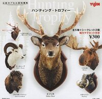 このインテリアの正式名称は 画像のような鹿などの動物の頭部を剥製にして壁に飾るイ 教えて 住まいの先生 Yahoo 不動産