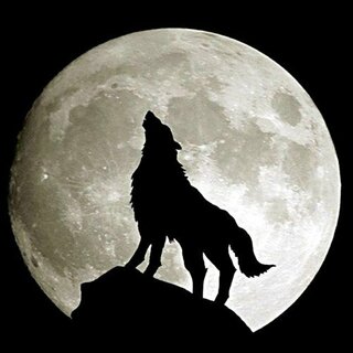 狼の呼び名で何がありますか 神話で出てくる名前でも英語でもドイツ語でも Yahoo 知恵袋