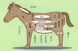 馬刺し はどこの部位の肉なのでしょうか すごく大まかには赤身と霜 Yahoo 知恵袋