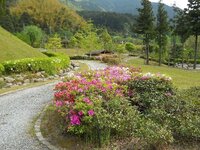 福岡県内で海中のようなレンタル自転車 子供用 があるような所はありますでし Yahoo 知恵袋