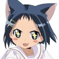 猫みたいな性格の 女の子の名前を思いつく限り教えてください Yahoo 知恵袋