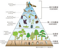 身近なもので二等辺三角形を含むものってありますか 教えてください ピ Yahoo 知恵袋
