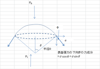 表面張力について教えてください 表面張力により 液体の内部は内側に引 Yahoo 知恵袋