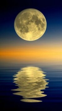 Iphone5待ち受けなかなかピッタリサイズの待ち受けがありませ Yahoo 知恵袋