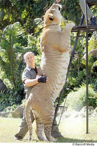 ライオントラライガータイゴンどれが一番強い 後 この世で一番強い生き物 Yahoo 知恵袋