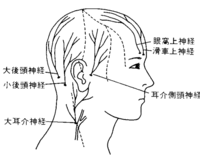 左側 部 ズキン 頭 頭痛