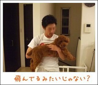 椎間板ヘルニアの犬を抱っこで近所の病院に連れて行ったら 犬の Yahoo 知恵袋