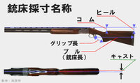 右用の散弾銃の銃床を左用に変更することは可能ですか？近所の人から銃... - Yahoo!知恵袋