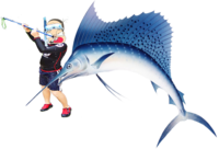 素潜りの銛突きについて教えて下さいよく釣具屋で銛が売られていますよね先 Yahoo 知恵袋