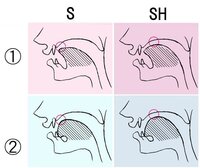 発音で Sh ʃ の音と Sy Sj の音は違うのですか 又 J ʒ と Zy Yahoo 知恵袋