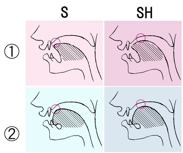 発音で Sh ʃ の音と Sy Sj の音は違うのですか 又 J ʒ と Zy Yahoo 知恵袋