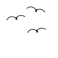 鳥の描き方 夕日にうつる こんなかんじのとりをもっと鳥っぽく書くに Yahoo 知恵袋