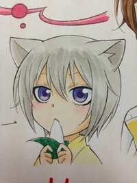 漫画 神様はじめました の巴衛の子供バージョンの可愛い画像欲しいん Yahoo 知恵袋