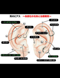 ピアス 位置 名前