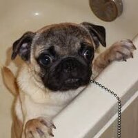 私と離れるのが寂しいんです を英語にしたいのですが Yahoo 知恵袋