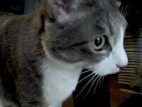 副詞としてのbelowについて なぜ副詞に分類しているのでしょうか たと Yahoo 知恵袋