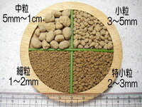 多肉植物の リトープスの土の作り方を教えて下さい 多肉植物用 Yahoo 知恵袋