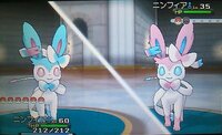 ポケモンｘｙについての質問です ｘｙでは イーブイの色違 Yahoo 知恵袋