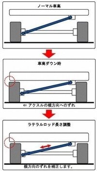 回答の画像