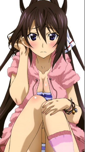 Is インフィニットストラトスで篠ノ之箒が好きっていう人いますか Yahoo 知恵袋