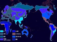 熱帯地域の地中海沿岸で住居の材料としておもに使用されているものっ Yahoo 知恵袋