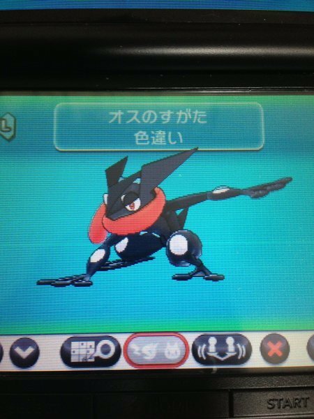 ポケモンxyについてです 色違いでかっこいいポケモンはいますか 私的 Yahoo 知恵袋