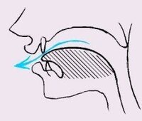 英語発音って本当に難しいですよね 最近発音が気になり出した学生 Yahoo 知恵袋
