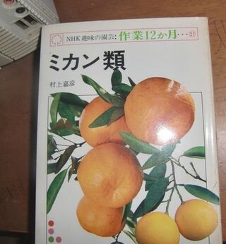 みかんの木の肥料 ホームセンターで買ったみかんの木を庭に植え 5年ほどに Yahoo 知恵袋