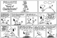 スヌーピーが登場する ピーナッツ の原作漫画で ある話を探しています Yahoo 知恵袋