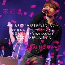 Sekai No Owariの不死鳥の歌詞画像を下さい 不死鳥いい曲 Yahoo 知恵袋