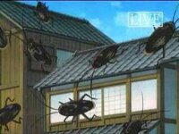 ゴキブリが表示されるアニメって ありますか 銀魂第29話 テ Yahoo 知恵袋